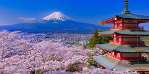 絵画風 壁紙ポスター (はがせるシール式) -地球の撮り方- THE JAPANな絶景、桜富士&新倉山浅間公園の忠霊塔と桜 富士山 さくら パノラマ キャラクロ C-ZJP-010S1 (1152mm×576mm) <日本製> ウォールステッカー お風呂ポスター