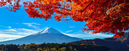 壁紙ポスター 日本の絶景 絵画風 貼り直しできる シール式壁紙クロス C Zjp 036p1 パノラマ版 キャラクロ 地球の撮り方 お部屋の壁がパノラマ風景に変わる 河口湖の紅葉まつりと富士山 かんたん癒し空間 日本の絶景 1440mm 576mm キャラクロ はがせる 壁紙ポスター 日本の絶景 絵画風 貼り直しできる シール式壁紙クロス C Zjp 036p1 パノラマ版 キャラクロ 地球の撮り方 お部屋の壁がパノラマ風景に変わる 河口湖の紅葉まつりと富士山 かんたん癒し空間 日本の絶景 1440mm 576mm キャラクロ はがせる