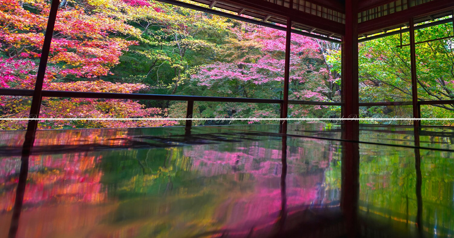 絵画風 壁紙ポスター (はがせるシール式) 【特大上下2枚仕様】-地球の撮り方- 紅葉が反射する床もみじ ..