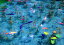 絵画風 壁紙ポスター （はがせるシール式） -地球の撮り方- まるで絵画、岐阜県関市の「モネの池」（名前のない池）絶景スポット キャラクロ C-ZJP-001A2 （A2版 594mm×420mm） 建築用壁紙＋耐候性塗料 インテリア