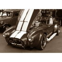 G敗 ǎ|X^[ (͂V[) AC Ru COBRA VFr[ Be[W ZsA LN ACCB-006A1 (A1 830mm~585mm) { EH[XebJ[ C|X^[