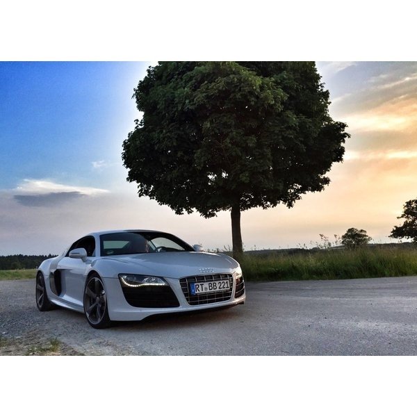 絵画風 壁紙ポスター (はがせるシール式) アウディ R8 V10 ホワイト 夕陽 夕焼け 木 Audi キャラクロ ADR8-002A2 (A2版 594mm×420mm) ＜日本製＞ ウォールステッカー お風呂ポスター