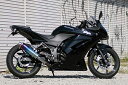 Realize ニンジャ250R バイクマフラー JBK-EX250K 2008年～2012年モデル対応 Aria アリア チタン カールタイプ (TypeC) マフラー リアライズ カワサキ バイク用品 バイク用 バイクパーツ カスタム パーツ ドレスアップ 交換 社外品 説明書付 Ninja250R