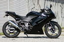 Realize ニンジャ250R バイクマフラー JBK-EX250K 2008年～2012年モデル対応 Aria アリア ステンレス スラッシュタイプ (TypeS) マフラー リアライズ カワサキ バイク用品 バイク用 バイクパーツ カスタム パーツ ドレスアップ 交換 社外品 説明書付 Ninja250R