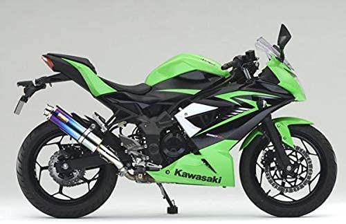 Realizeニンジャ250SLバイクマフラーJBK-BX250A2015年～2016年モデル対応A