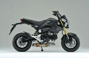 Realize (リアライズ) ホンダ グロム MSX125 (EBJ-JC61) 2013年～2016年モデル対応 バイクマフラー Laguna ラグナ Ti チタン マフラー GROM タイ仕様