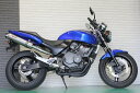 ホーネット250 バイクマフラー MC31 1996年～2007年モデル対応 全年式対応 Meteo メテオ チタンソリッド マフラー バイク用品 バイク用 バイクパーツ フルエキ フルエキゾースト カスタム パーツ ドレスアップ 交換 社外品 HORNET250 Realspeed リアルスピード ホンダ