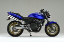 Realize ホーネット250 バイクマフラー MC31 1996年～2007年モデル対応 全年式対応 Aria アリア ステンレス カールタイプ (TypeC) マフラー リアライズ ホンダ バイク用品 バイク用 バイクパーツ カスタム パーツ ドレスアップ 交換 社外品 説明書付 HORNET250