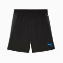 PUMA プーマ 25AW INDIVICUP TR ショーツ 660499-07 プラクティスショーツ ショートパンツ サッカーウエア トレーニングウエア