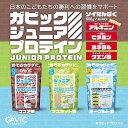 【GAVIC ガビック】ジュニアプロテイン 600g GC4000 ソイプロテイン 子供用 レアルスポーツ