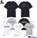 専門店限定商品 定番Tシャツ ●素材 5.6オンス天竺 本体：綿100％ （GRAY）綿90％ ポリエステル 10％