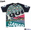 【gol. ゴル】23SS プラクティスシャツ<カルナヴァウ> TYPE F G342-597 プラクティスシャツ プラシャツ 半袖 サッカー フットサル レアルスポーツ 4,950円