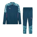 【PUMA プーマ】24SS INDIVIDUALFINAL TR 1/4ジップトップ TRパンツ 上下セット 659314-659399-56 サッカーウエア レアルスポーツ