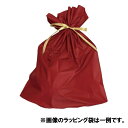 ラッピング ラッピング袋 プレゼント 贈り物 お祝い 包装 ギフト サッカー フットサル レアルスポーツ