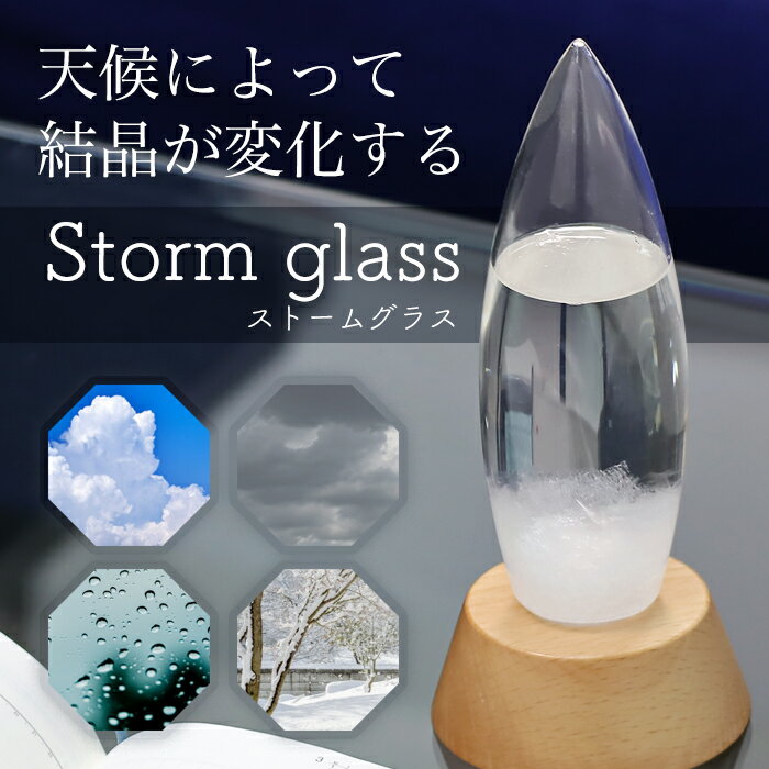 ꥢ륷ƥ1Ź㤨֥ȡ॰饹 ݷ ŷͽ ŷͽ ƥꥢ ѥ  ӥ  ѥ ̵###ݷYGW1915B###פβǤʤ2,580ߤˤʤޤ