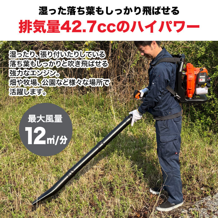 エンジン式 ブロワー 集塵機 落ち葉 枯れ葉 吹き飛ばし 送風機 掃除 剪定 除草 庭 ...