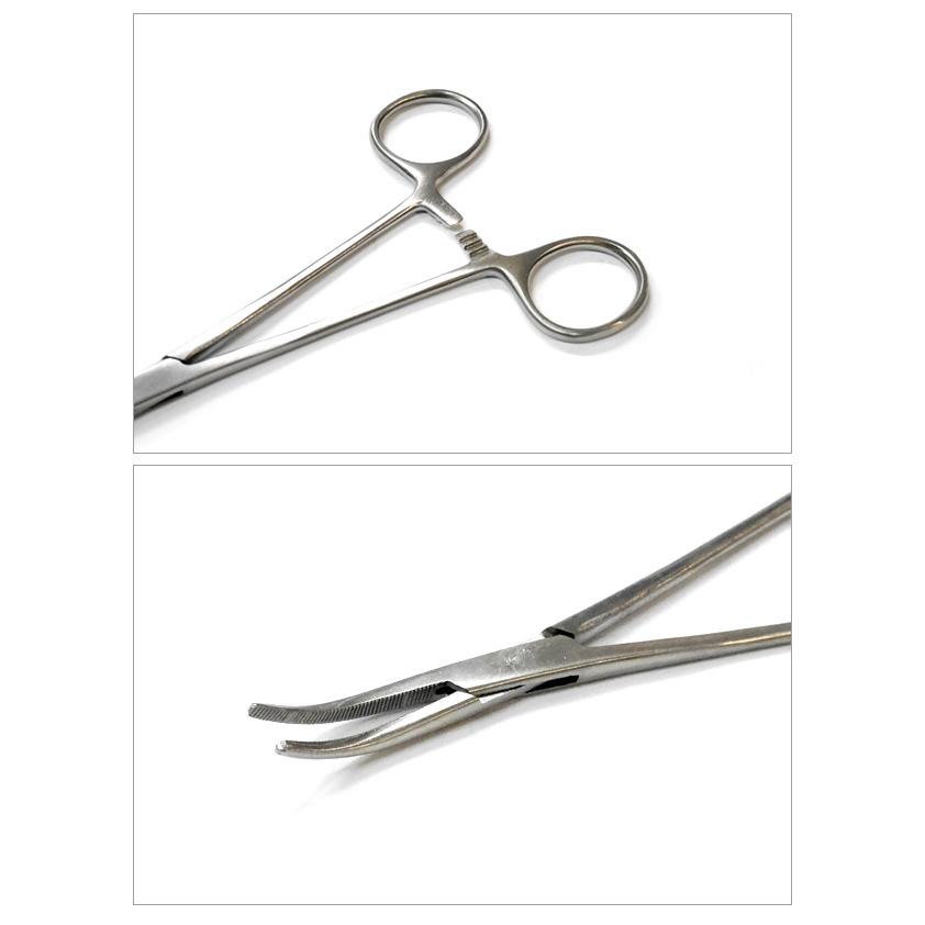 CORMORAN �������� �ե������åץ����� 6����� ����С��ڥХ���