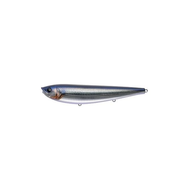Rakuten - APIA アピア ARGO アルゴ200 ギンギンコノシロ【海】