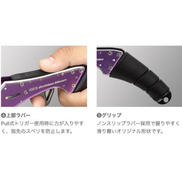 GoldenMean ������ǥ�ߡ��� GM ����å� �ѡ��ץ�