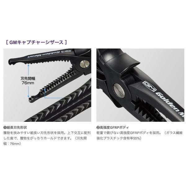 GoldenMean ������ǥ�ߡ��� GM ����ץ��㡼�������� �ۥ���� ���å� ���졼