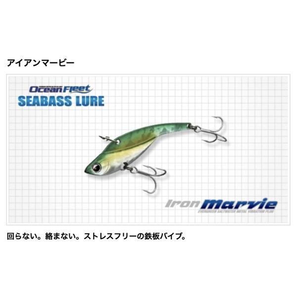 EVERGREEN エバーグリーン EG アイ...の紹介画像2
