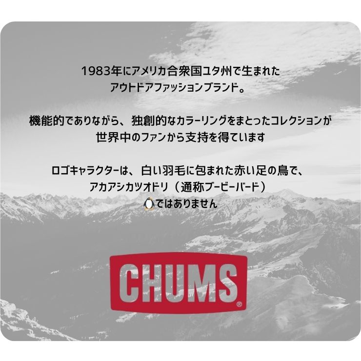 【夏物一掃セール! 40%OFF】 CHUMS チャムス キッズ/Tシャツ トップス 子供用 半袖...