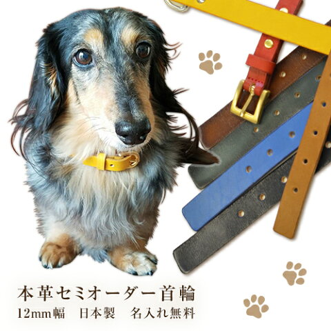 【セミオーダーペットベルト 12mm幅】名入れ無料！バックル・色・ループを選んで組み合わせ、注文を受けてから日本の職人が作ります。【誕生日プレゼント 記念日 ペット 首輪 犬 猫 ブレスレット オーダー首輪】