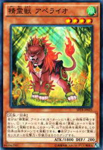 ͷ���� SPTR-JP025 ����� ���ڥ饤�� �֡�������SP �ȥ饤�֡��ե�����