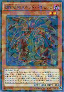 REALiZEۥӡȥ쥫2Ź㤨֡ڥץ쥤ѡͷ SPFE-JP008 Ῡʪåɡɥ(ܸ Ρޥѥš ֡SPե塼󡦥եפβǤʤ30ߤˤʤޤ