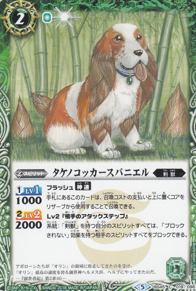 ڥץ쥤ѡۥХȥ륹ԥå BS45-019 Υåѥ˥ C() 2018BS45  2 ɤ˿š