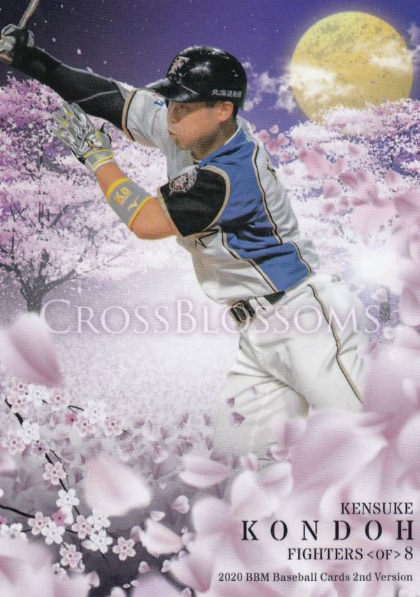 BBM 2020 CB51 ƣ ̳ƻܥϥե (쥮顼/CROSS BLOSSOMS) ١ܡ륫 2ndС