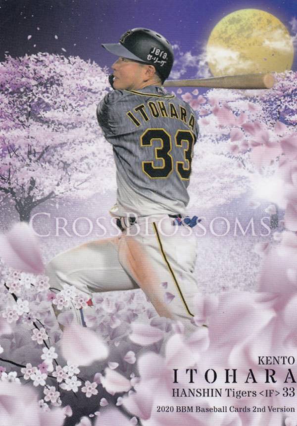 BBM 2020 CB62 糸原健斗 阪神タイガース (レギュラーカード/CROSS BLOSSOMS) ベースボールカード 2ndバージョン