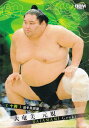 BBM 2025 大相撲カード 59 大奄美 元規 十両 (レギュラーカード)