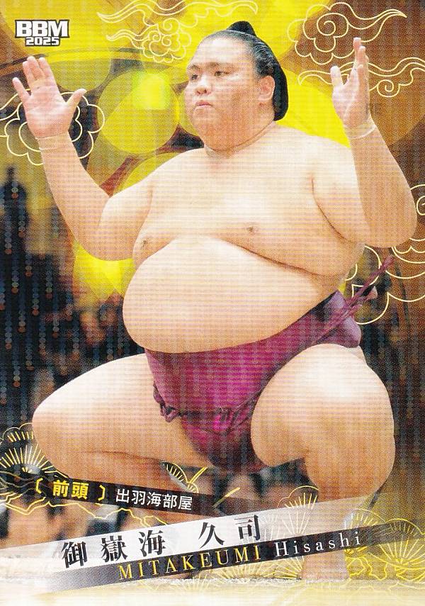 楽天市場】御嶽海（ホビー）の通販