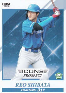 BBM ベースボールカード 23 柴田獅子(ROOKIE) 北海道日本ハムファイターズ (レギュラーカード) 2025 ICONS PROSPECT