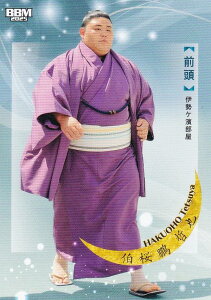 BBM 2025 大相撲カード 24 伯桜鵬 哲也 前頭 (レギュラーカード) 「和」-NAGOMI-