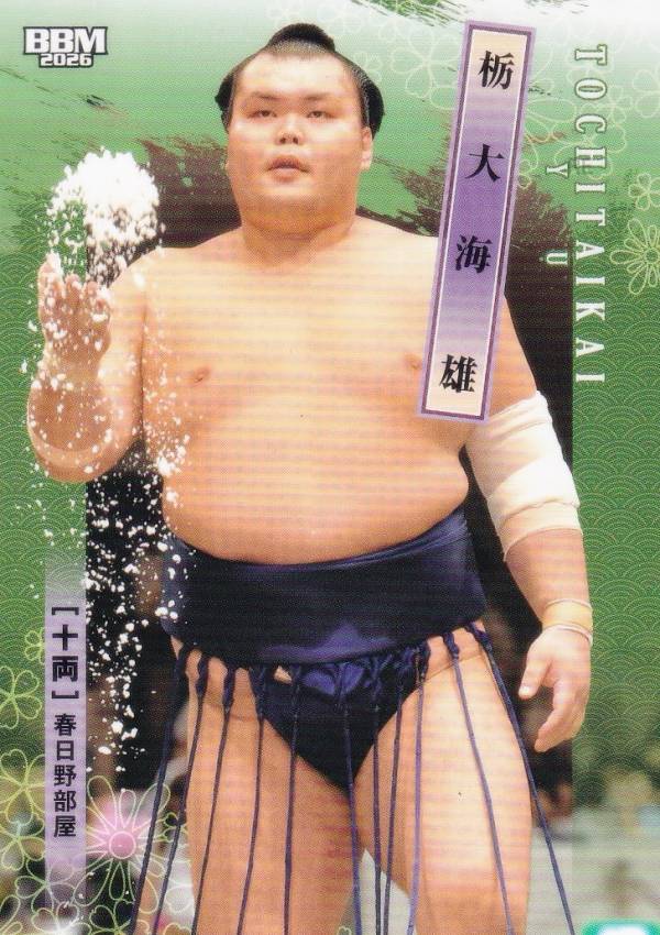 BBM 2026 大相撲カード 52 栃大海 雄 十両 (レギュラーカード)