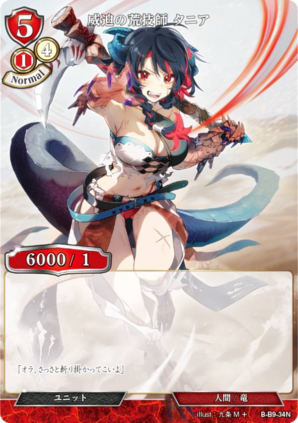 ӥǥХTCG B-B9-34N ιӵ ˥ (N Ρޥ) ֡ѥå9 ȤǤ˾