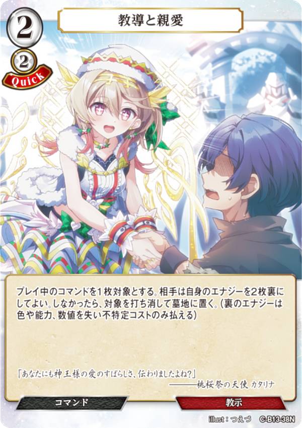 �ӥ�ǥ��Х���TCG C-B13-38N ��Ƴ�ȿư� (N �Ρ��ޥ�) �֡��������ѥå���13�� �񤨡���˾�βΤ�Τ���