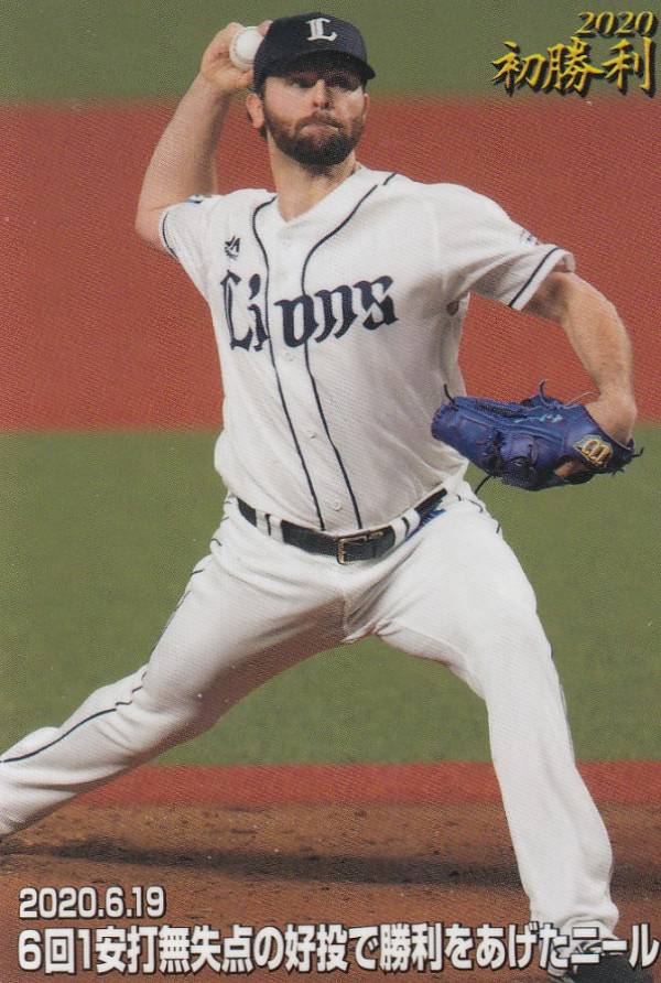 ץåץ2020 3 FW-01 Z.ˡ (/龡) (꡼ͥ)