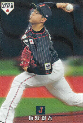 REALiZEۥӡȥ쥫2Ź㤨֥ץåץ2019 SJ-04 ͺ (䥯 ɽ ѥפβǤʤ150ߤˤʤޤ