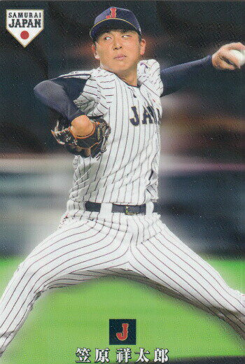 REALiZEۥӡȥ쥫2Ź㤨֥ץåץ2019 SJ-05 ޸_Ϻ ( ɽ ѥפβǤʤ150ߤˤʤޤ