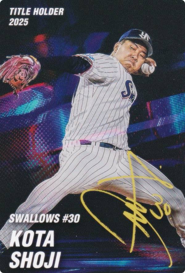 楽天市場】プロ野球チップス カードホルダーの通販