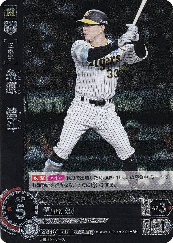 �ڥѥ���ۥɥ꡼�४������ CBP04-T04 �帶������ ������������� (RH �쥢�ۥ�) �ץ���奫���ɥ����� �����꡼�� �֡��������ѥå� 2024 Vol.4