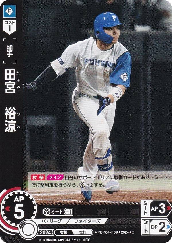 REALiZEۥӡȥ쥫2Ź㤨֥ɥ꡼४ PBP04-F09 ĵܡ͵ ̳ƻܥϥե (C  ץ奫ɥ ѡ꡼ ֡ѥå 2024 Vol.4פβǤʤ40ߤˤʤޤ