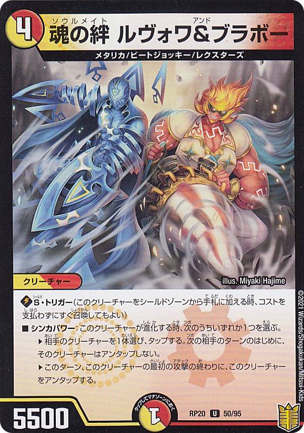 ڥץ쥤ѡ ǥ奨ޥ DMRP20 50/95  ֥ܡ (U 󥳥) ӳĥѥå4 ζ (DMRP-20) š