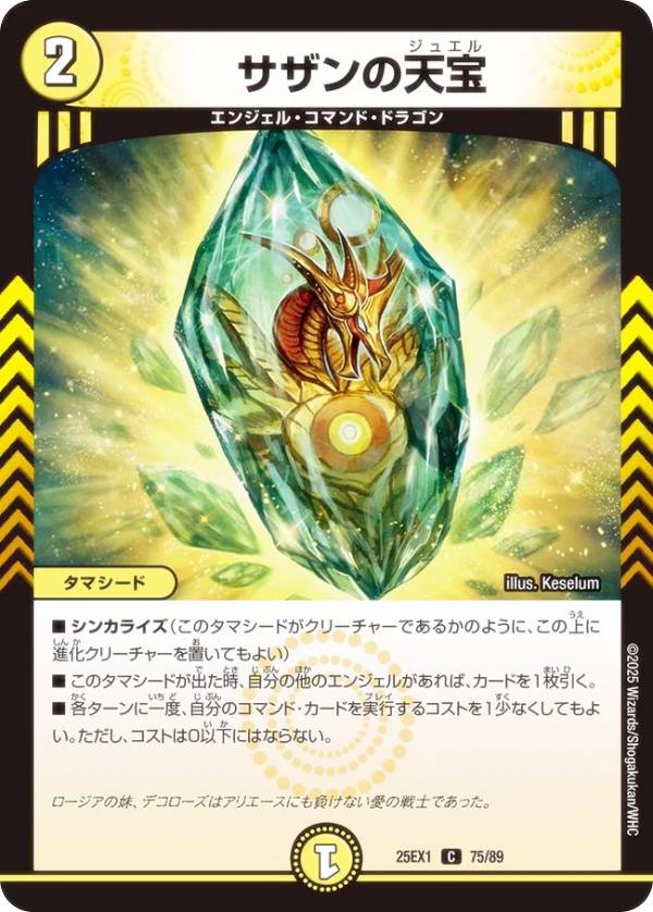 �ǥ奨��ޥ������� DM25EX1 75/89 �������ŷ�� (C �����) �����պ� �ҥ�����BEST (DM25-EX1)