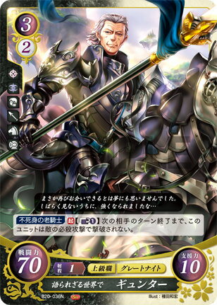 �ե�����������֥�� �����ե� B20-036 ���줶�������� ����󥿡� (N �Ρ��ޥ�) �֡��������ѥå� ��20�� ���μ꤬Ƴ��������