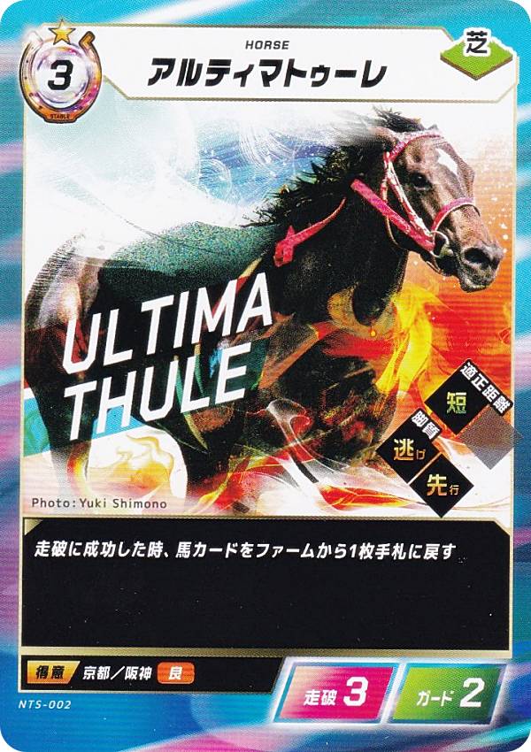 �ե����������֡������ۡ��� NTS-002 ����ƥ��ޥȥ����� (N �Ρ��ޥ�) Force of the Horse �֡��������ѥå���2�� ��ͺVS���