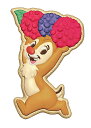 【デール】 ディズニー Disney COOKIE MAGCOT